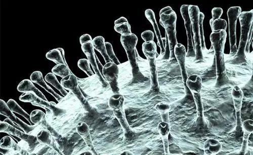 1583459019898178NUHd.jpg 瀝青瓦5.jpg