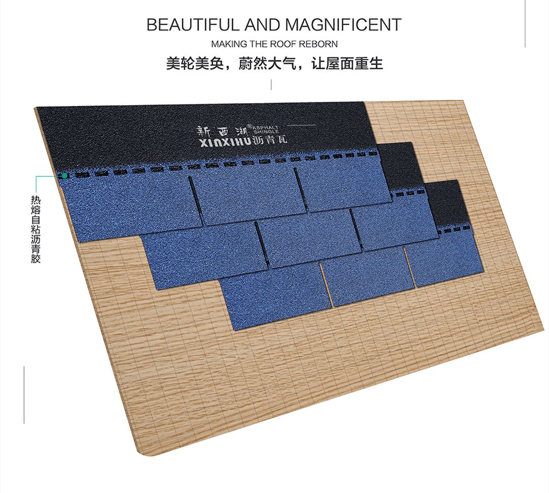 1637912016106641CDC1.jpg 04.jpg