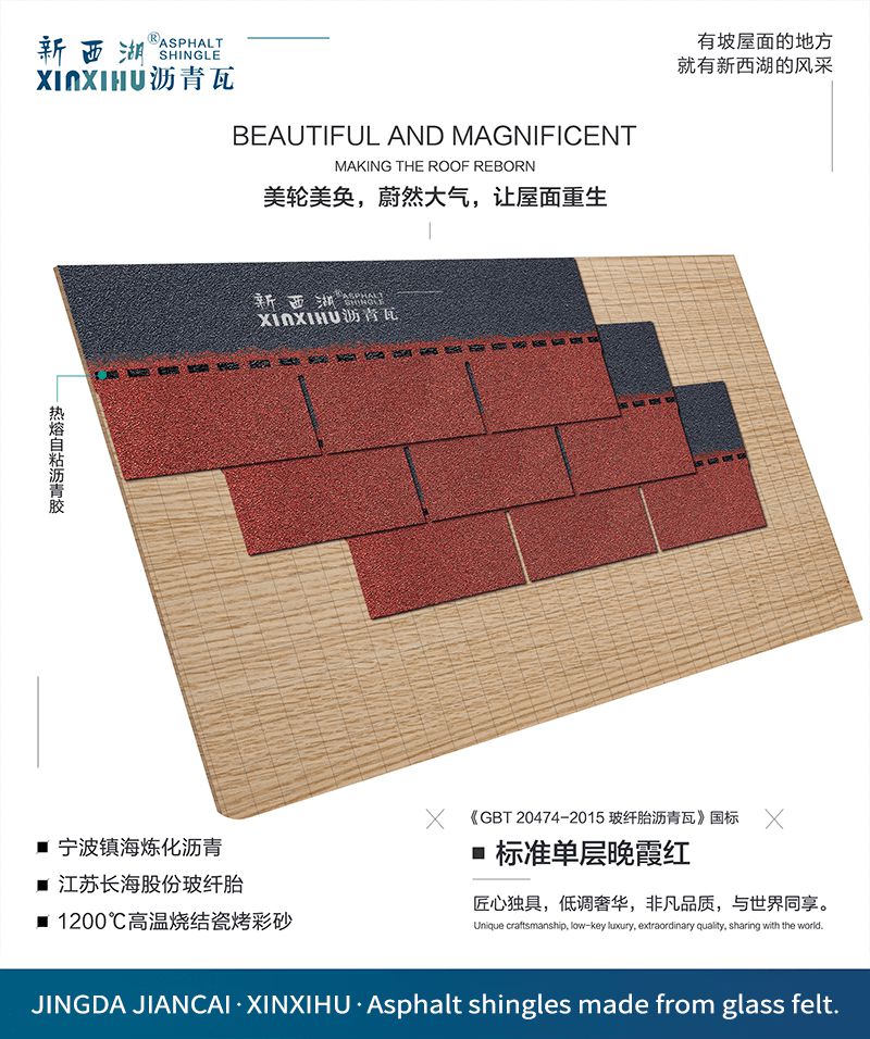 1637915875138360ACEB.jpg 04.jpg